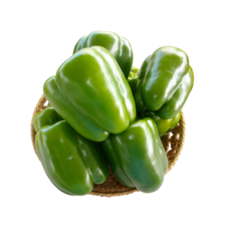 Sweet Pepper Ayesha From Known You Seed (India)-KYI